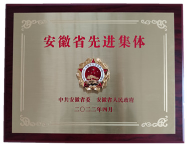 喜報(bào)省級(jí)表彰！熱烈祝賀安徽盛世新能源材料科技有限公司榮獲 “安徽省先進(jìn)集體”